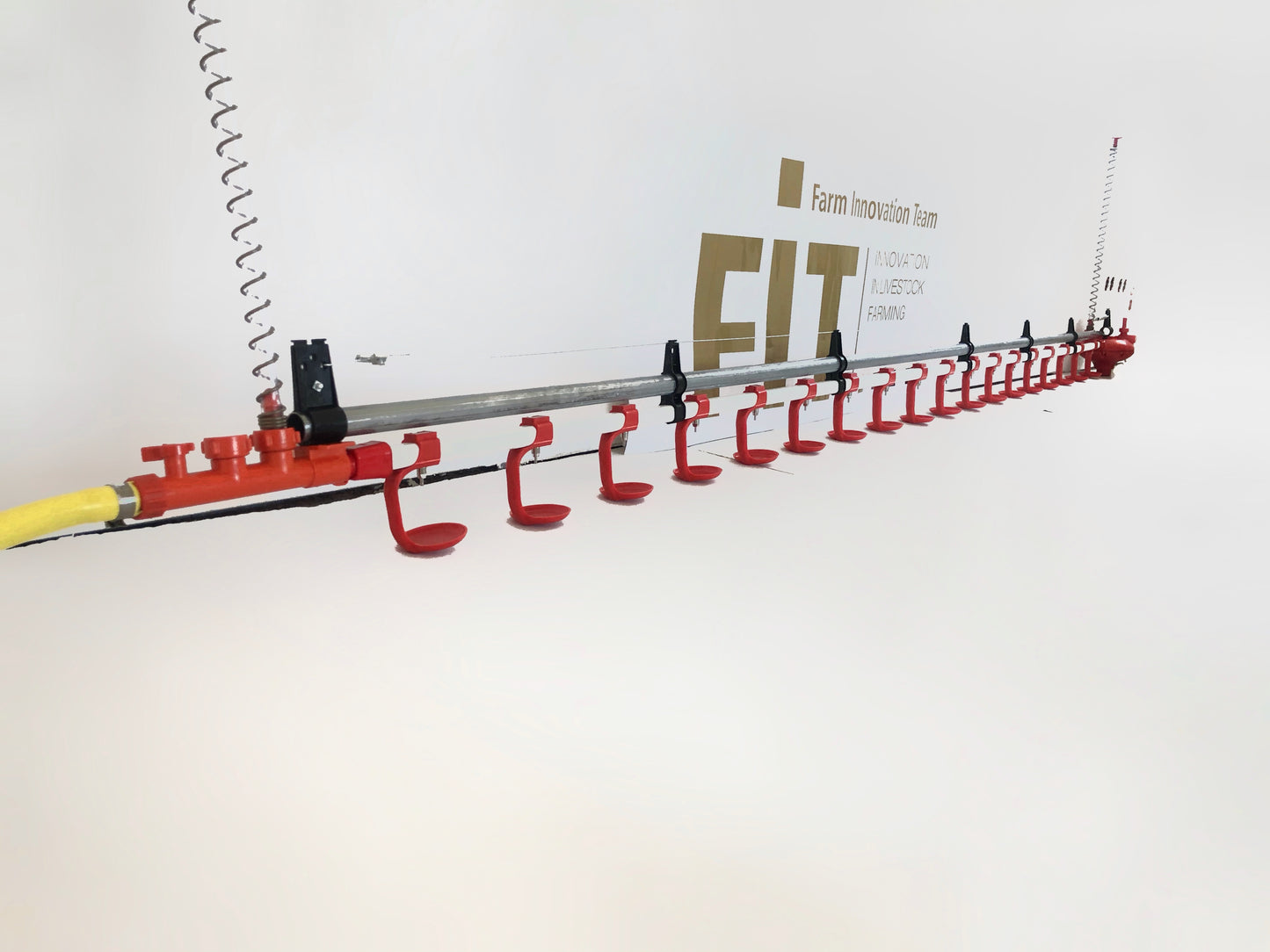 Automatisches Tränke System mit Nippeln, Geflügelhaltung, Mobilstall