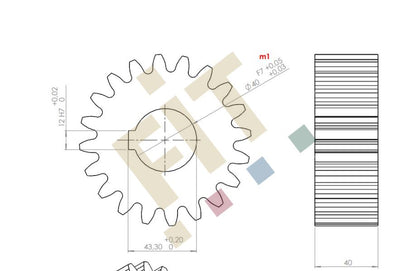 Zahnrad f. Andruckwalze, Z=20, m=5mm, t=40mm (m1)
