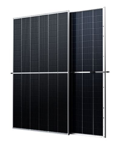 PV-Modul Trinasolar Vertex TSM-DEG20C20, 600Wp, 2172x1303x35mm, bifazial, glas/glas