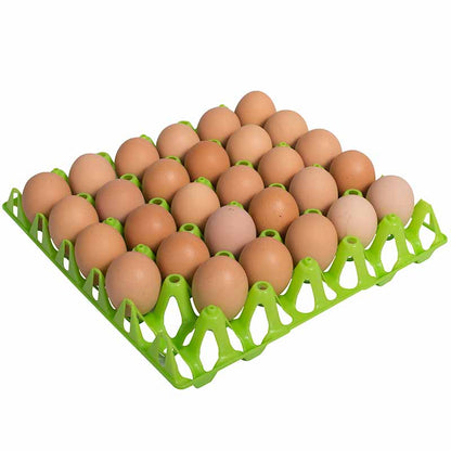 Mehrweg Eierlagen aus Kunststoff für 30 Eier