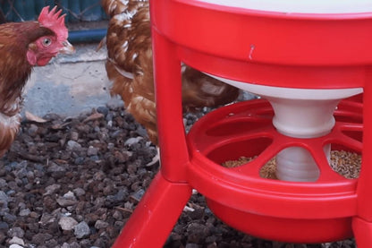 POULTRY FEEDER WITH LEGS 30L